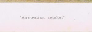 Australian Cricket